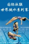 世界跳水系列赛