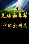 上海中欧全明星嘉年华足球赛