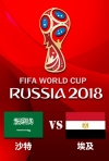 2018年俄罗斯世界杯小组赛-沙特--埃及
