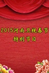 2015河南卫视春节特别节目