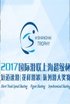 2017年上海超级杯大奖赛