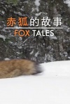 赤狐的故事