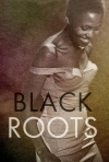 黑人的根
