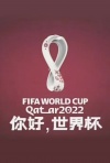 你好世界杯（2022）