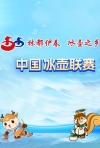 中国冰壶联赛