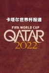 卡塔尔世界杯报道-足球盛宴