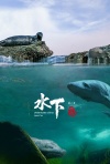 水下中国第二季