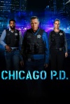 芝加哥警署第十一季