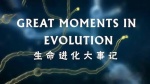 进化的伟大时刻1