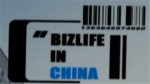 我在中国做生意1