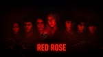 红玫瑰第一季1