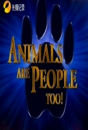 动物也是人 海报