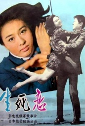 生死恋（1971） 海报