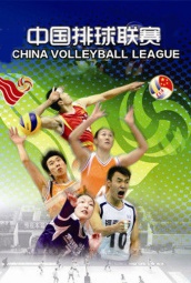 中国排球联赛 海报