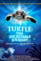 海龟奇妙之旅 海报