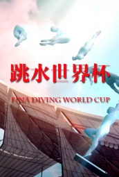 跳水世界杯 海报