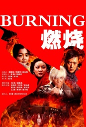 燃烧（2015） 海报