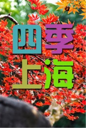 四季上海 海报