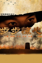 步步惊心(2010) 海报