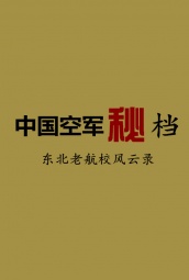 中国空军秘档 海报