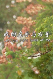 我的左手和右手（ 2008） 海报