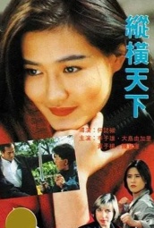 纵横天下 (1993) 海报