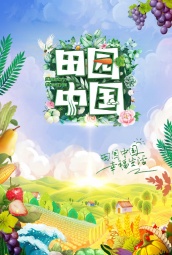 田园中国 海报