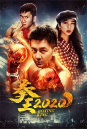 拳王2020 海报