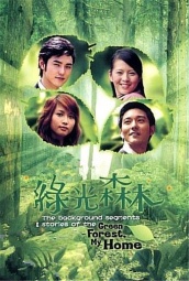 绿光森林 海报