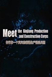 告诉你一个真实的新疆生产建设兵团 海报