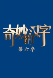 奇妙的汉字第六季 海报