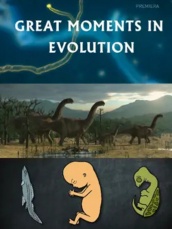 进化的伟大时刻 海报