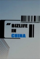 我在中国做生意 海报