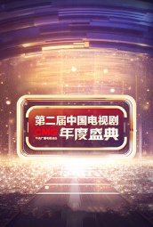第二届中国电视剧年度盛典 海报