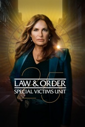 法律与秩序：特殊受害者第二十五季 海报