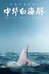 中华白海豚 海报
