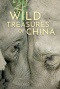 野性四季：珍稀野生动物在中国