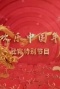 欢乐中国年元宵特别节目