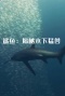 鲨鱼：揭秘水下猛兽