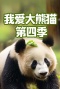 我爱大熊猫第四季