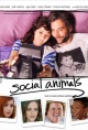 社交动物 