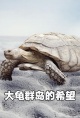 大龟群岛的希望
