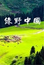 绿野中国
